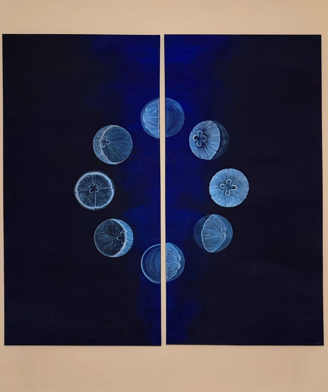 Moon Jellyfish Phases